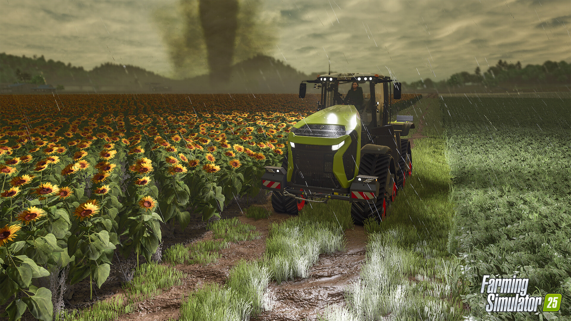 模拟农场25/Farming Simulator 25